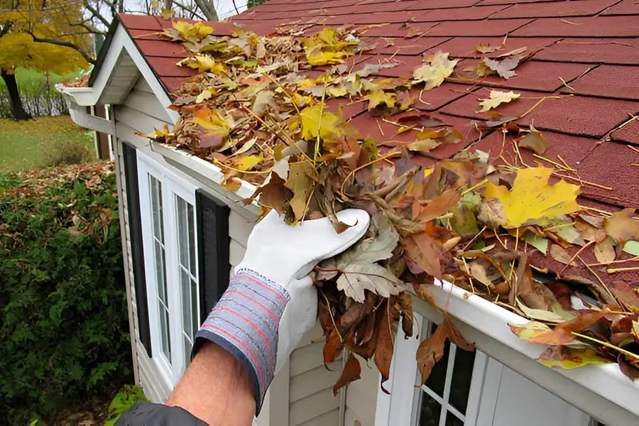How Gutter Cleaning Prevents Water Damage to Your Home Lake Charles, LA